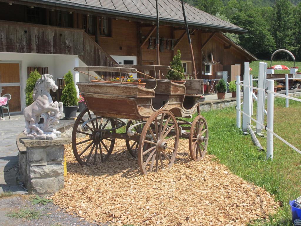 Eichhof Brienzwiler Berner Oberland Villa Exteriör bild
