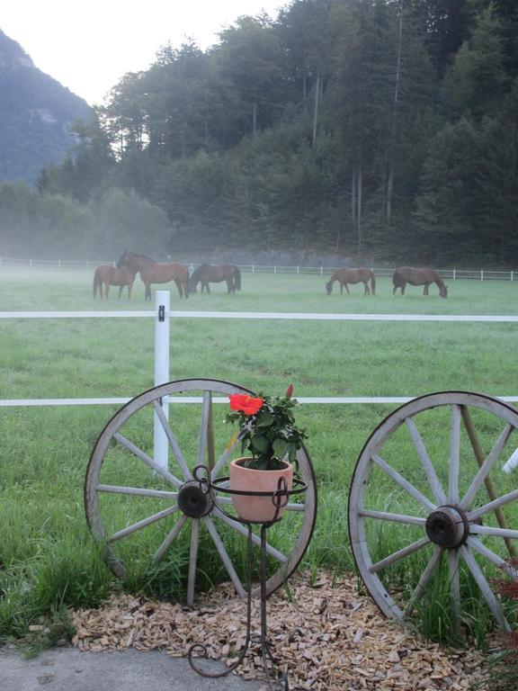 Eichhof Brienzwiler Berner Oberland Villa Exteriör bild